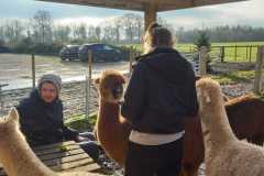 IMG-20210210-WA0112