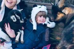 mum-and-child-goats